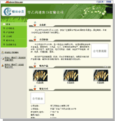 Sliver Member