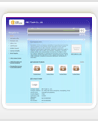 Consumer Electronics 